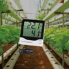Therma-Hygrometer with internal & external temperature probe - Image 5