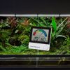 Healthy living Therma-Hygrometer - Image 4